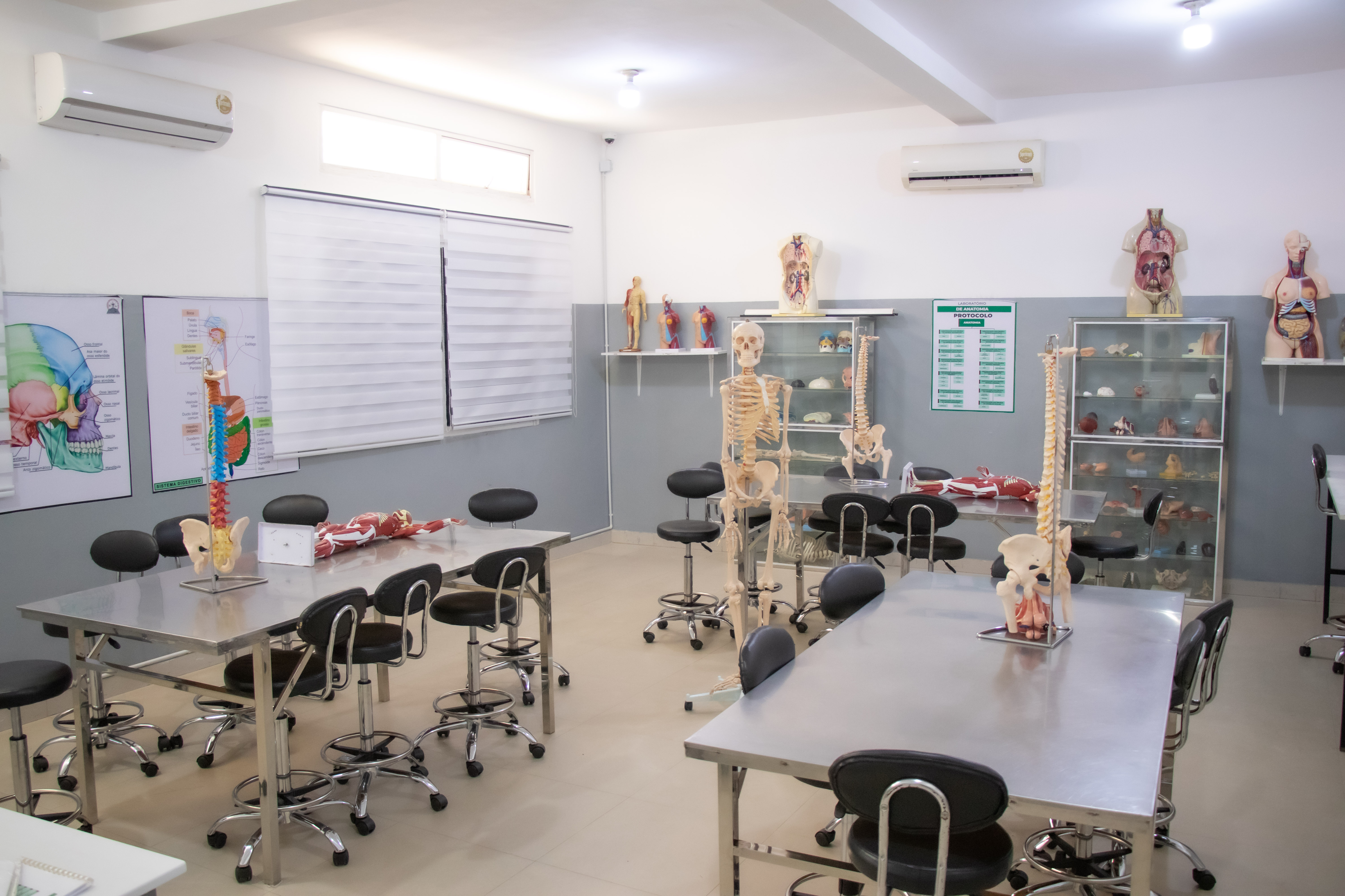Laboratório de Anatomia III — Excelência, precisão e domínio avançado da ciência humana